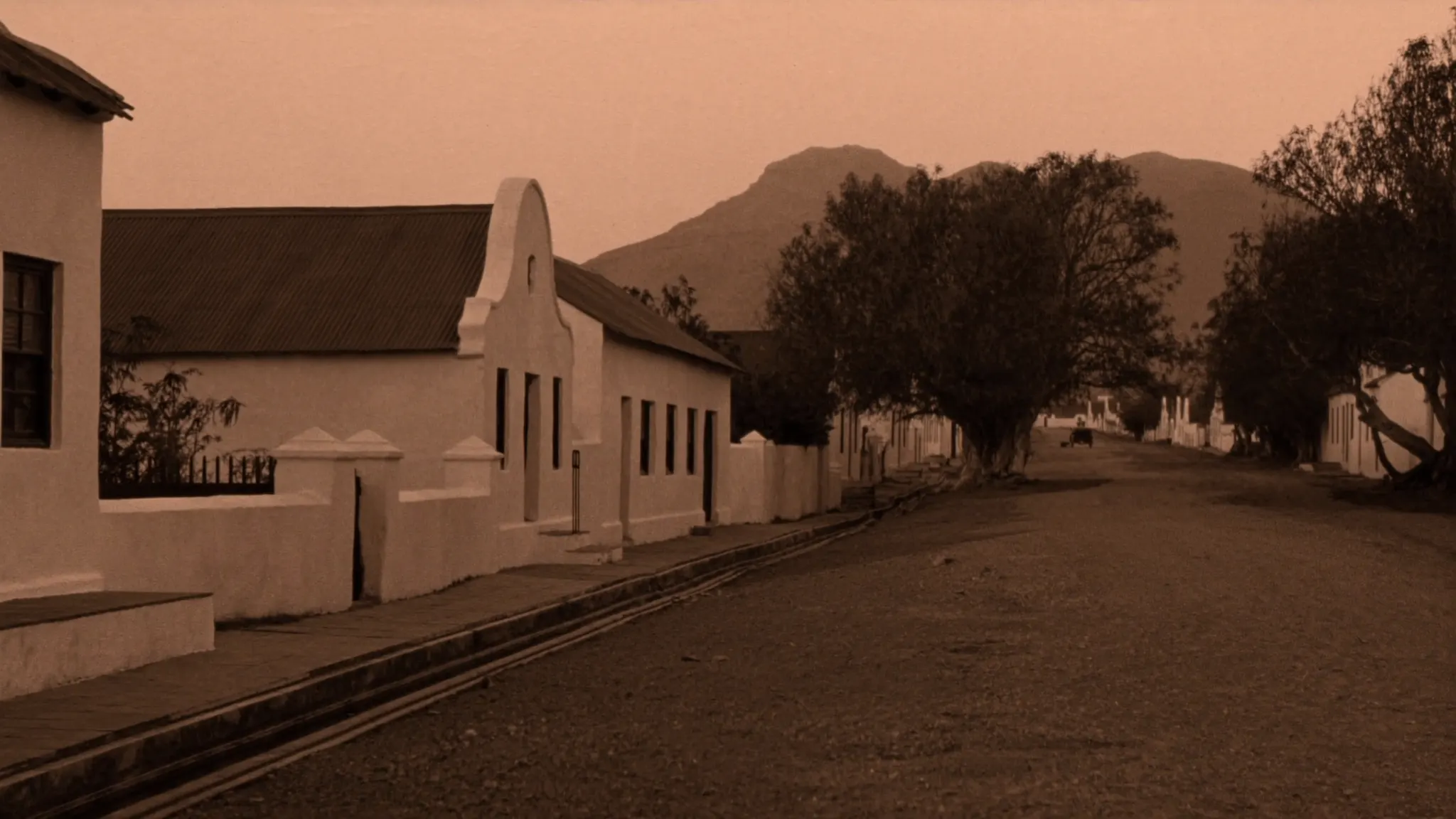 A Prince Albert street of whitewashed cottages with Cape Dutch gables
